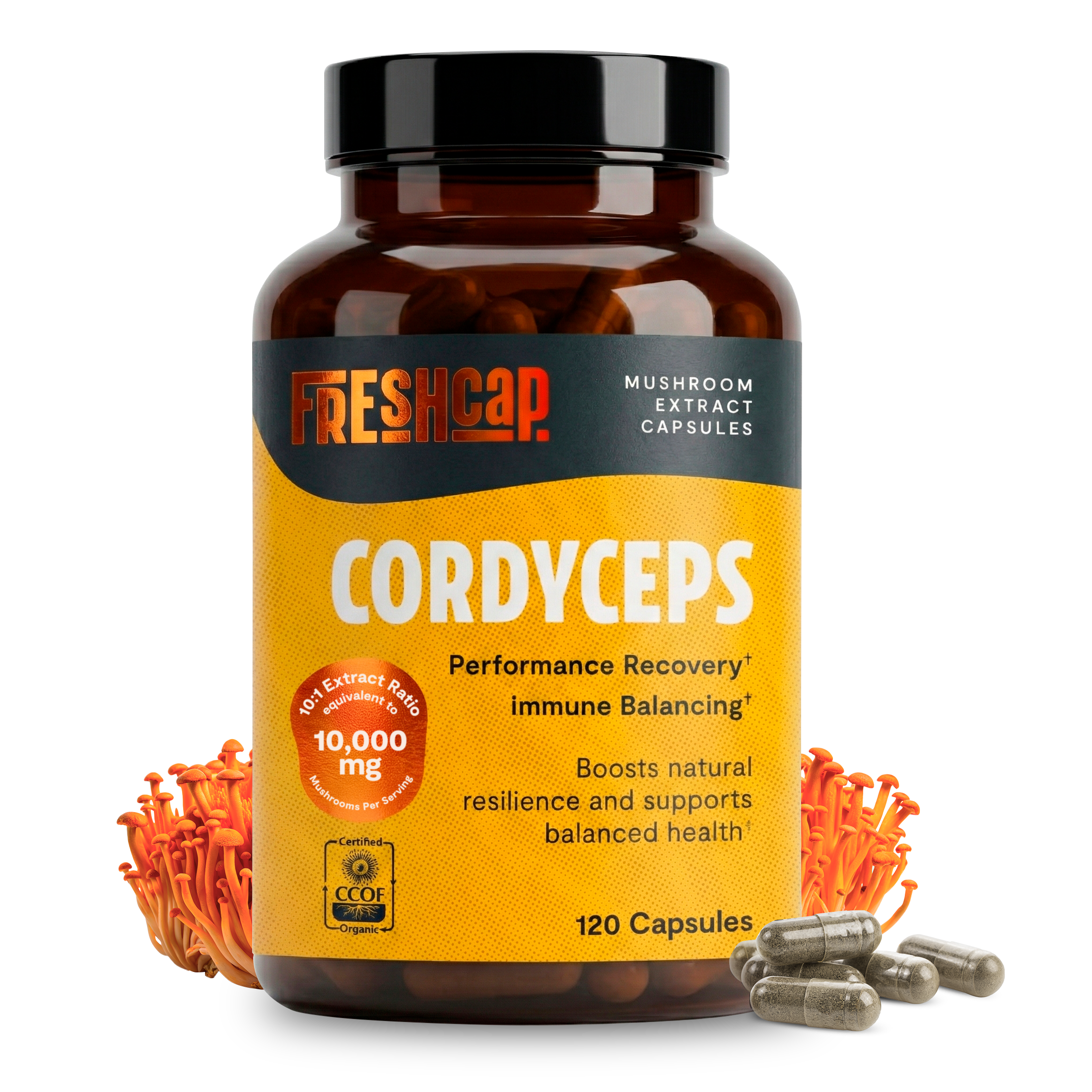 Organic Cordyceps Mushroom Supplement Capsules — FreshCap Mushrooms — BioVelocity